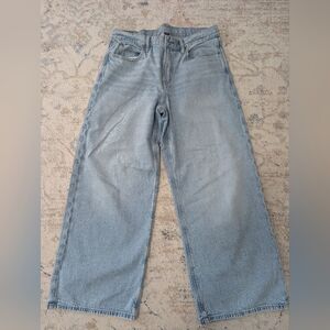 American Eagle Strigid Low Rise Ultra Wide Leg Jeans
